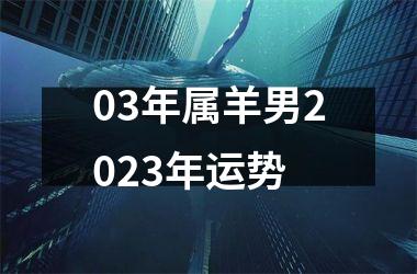 03年属羊男2025年运势