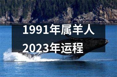 <h3>1991年属羊人2025年运程