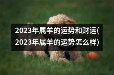 <h3>2025年属羊的运势和财运(2025年属羊的运势怎么样)