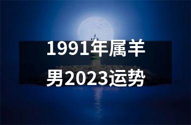 1991年属羊男2025运势