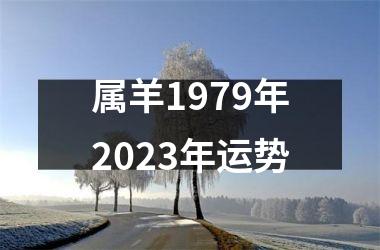 属羊1979年2025年运势