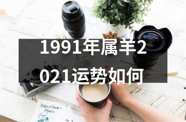 <h3>1991年属羊2025运势如何