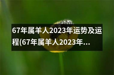 67年属羊人2025年运势及运程(67年属羊人2025年运势及运程每月运程)