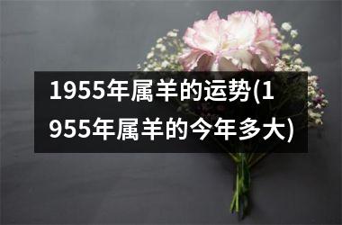 1955年属羊的运势(1955年属羊的今年多大)