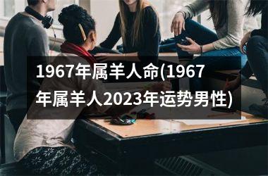 1967年属羊人命(1967年属羊人2025年运势男性)