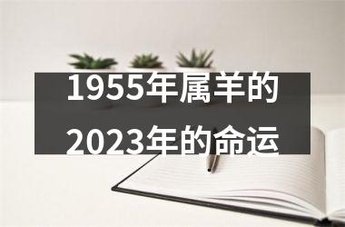 <h3>1955年属羊的2025年的命运