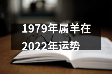 <h3>1979年属羊在2025年运势