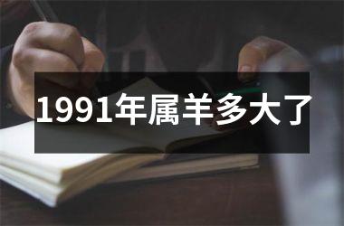 <h3>1991年属羊多大了