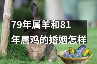 79年属羊和81年属鸡的婚姻怎样