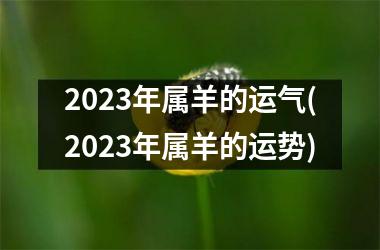 2025年属羊的运气(2025年属羊的运势)