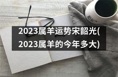 2025属羊运势宋韶光(2025属羊的今年多大)