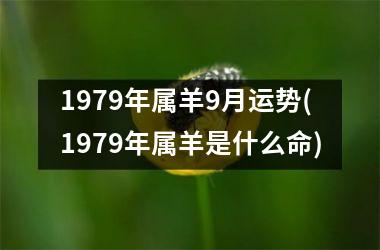 1979年属羊9月运势(1979年属羊是什么命)