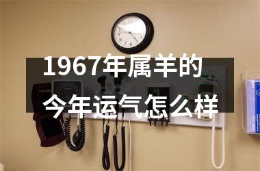 1967年属羊的今年运气怎么样