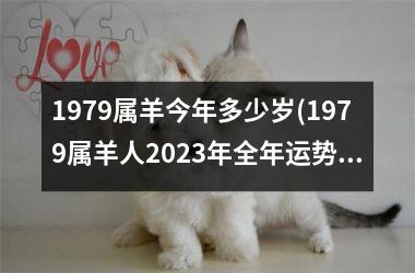 1979属羊今年多少岁(1979属羊人2025年全年运势详解)