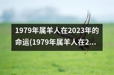 <h3>1979年属羊人在2025年的命运(1979年属羊人在2025年运势)