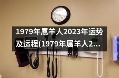 1979年属羊人2025年运势及运程(1979年属羊人2025年运势及运程每月运程)