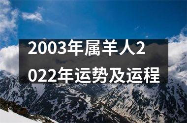 <h3>2003年属羊人2025年运势及运程