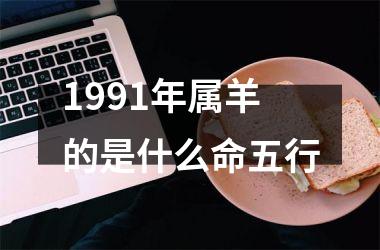 <h3>1991年属羊的是什么命五行