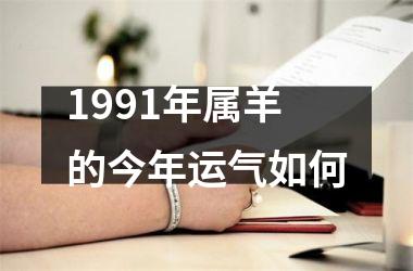 1991年属羊的今年运气如何