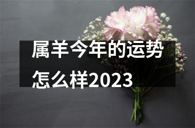 属羊今年的运势怎么样2025