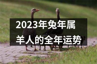 <h3>2025年兔年属羊人的全年运势