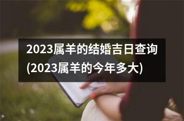 2025属羊的结婚吉日查询(2025属羊的今年多大)