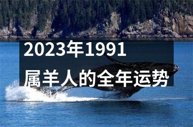 2025年1991属羊人的全年运势