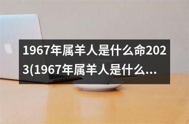 1967年属羊人是什么命2025(1967年属羊人是什么命)