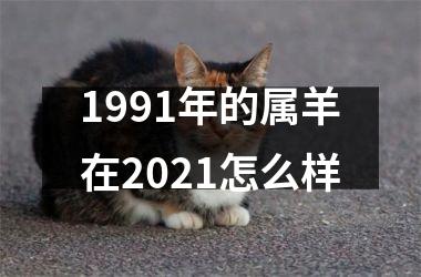 <h3>1991年的属羊在2025怎么样