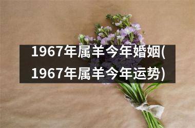 <h3>1967年属羊今年婚姻(1967年属羊今年运势)