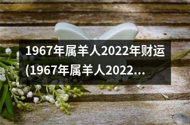 1967年属羊人2025年财运(1967年属羊人2025年运势男性)