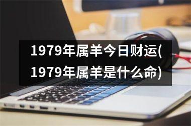 1979年属羊今日财运(1979年属羊是什么命)