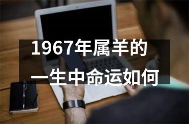 1967年属羊的一生中命运如何