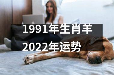 1991年生肖羊2025年运势