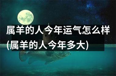 属羊的人今年运气怎么样(属羊的人今年多大)