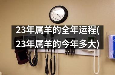 23年属羊的全年运程(23年属羊的今年多大)