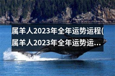 <h3>属羊人2025年全年运势运程(属羊人2025年全年运势运程男性)