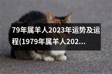 <h3>79年属羊人2025年运势及运程(1979年属羊人2025年运势及运程)