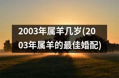 <h3>2003年属羊几岁(2003年属羊的最佳婚配)