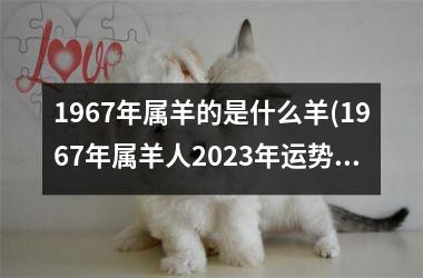 <h3>1967年属羊的是什么羊(1967年属羊人2025年运势男性)