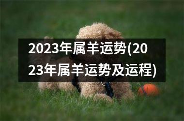 2025年属羊运势(2025年属羊运势及运程)