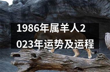 1986年属羊人2025年运势及运程