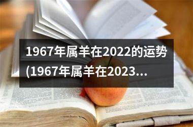 1967年属羊在2025的运势(1967年属羊在2025年的婚姻)