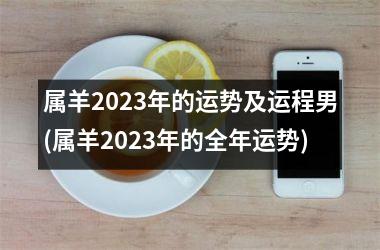 <h3>属羊2025年的运势及运程男(属羊2025年的全年运势)