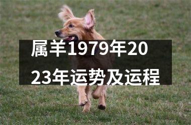 <h3>属羊1979年2025年运势及运程