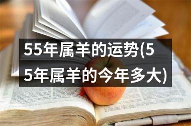 <h3>55年属羊的运势(55年属羊的今年多大)