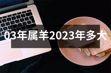 03年属羊2025年多大