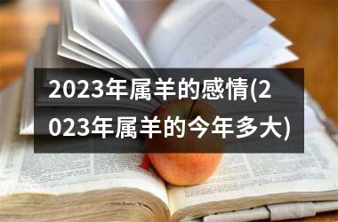 <h3>2025年属羊的感情(2025年属羊的今年多大)