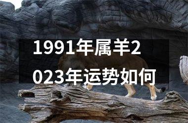 <h3>1991年属羊2025年运势如何