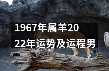 1967年属羊2025年运势及运程男